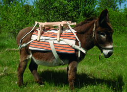 Couveton, tapis de bât pour ânes, chevaux, mules, chèvres