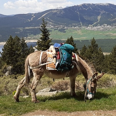 Bât pour âne Randoline Bastillon en randonnée dans les Pyrénées