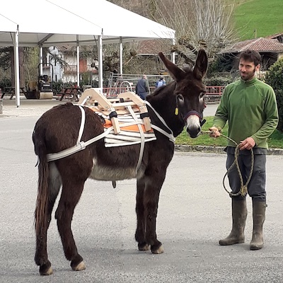 Bastillon, bât pour âne, Randoline, équipement et matériel pour ânes, chevaux