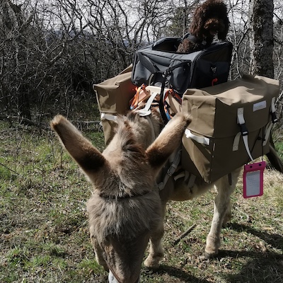 Bastillon, bât pour âne, Randoline, équipement et matériel pour ânes, chevaux