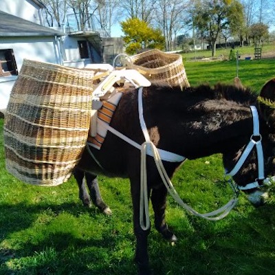 Bastillon, bât pour âne, Randoline, équipement et matériel pour ânes, chevaux, bât avec paniers