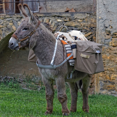 Bastillon, bât pour âne, Randoline, équipement et matériel pour ânes, chevaux