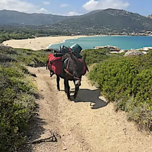 Lire la suite à propos de l’article Faustine fait son tour de Corse en 50 jours avec un Bastillon