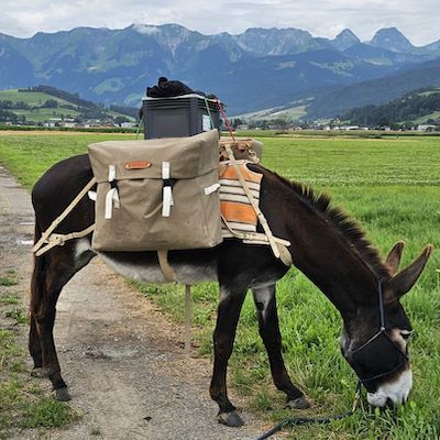 Lire la suite à propos de l’article Le grand voyage de Bruno Friedli