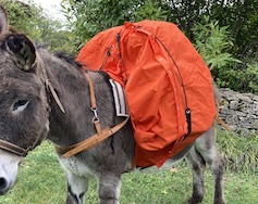 Capucine, bâche protection, Sacoches randonnée avec un âne, matériel randonnée pas cher, bât pour âne, fabrication française, fabrication artisanale