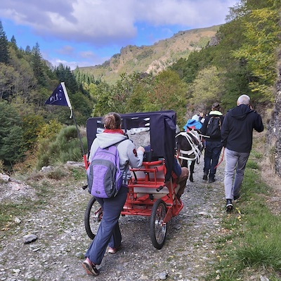 Lire la suite à propos de l’article Promenade en Escargoline dans les Cévennes