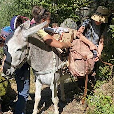 Sacoches randonnée avec un âne, matériel randonnée pas cher, bât pour âne Bât pas cher, bât pour ânes, chevaux, poneys, mules, chèvres, fabrication française, fabrication artisanale