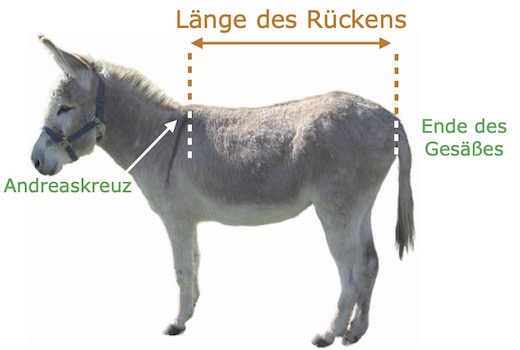 Bât pas cher, bât pour ânes, chevaux, poneys, mules, chèvres, fabrication française