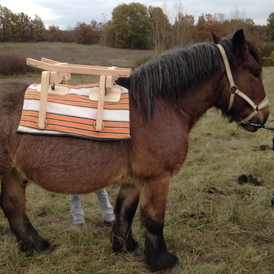 bât pour âne, bât pour cheval, bât pour chèvre, bât pour mule, bât pour poney, fabrication française