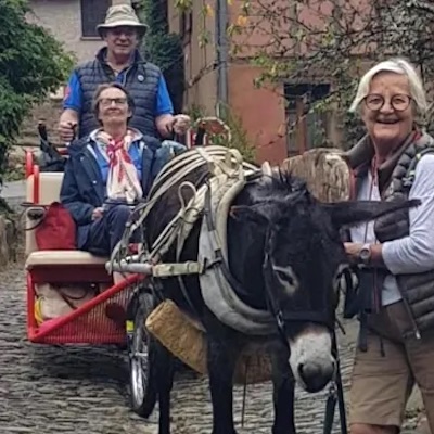 Escargoline, charette pour personne à mobilité réduite, handicap, traction animale, fabrication française