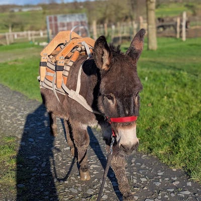 Le Bastillon de la ferme de la Brutz